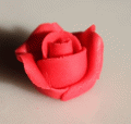 Mini rózsa